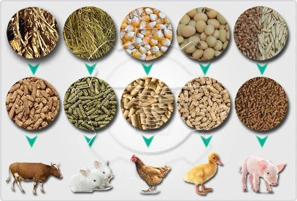 Analysis of Uganda’s New Animal Feeds Act, 2023