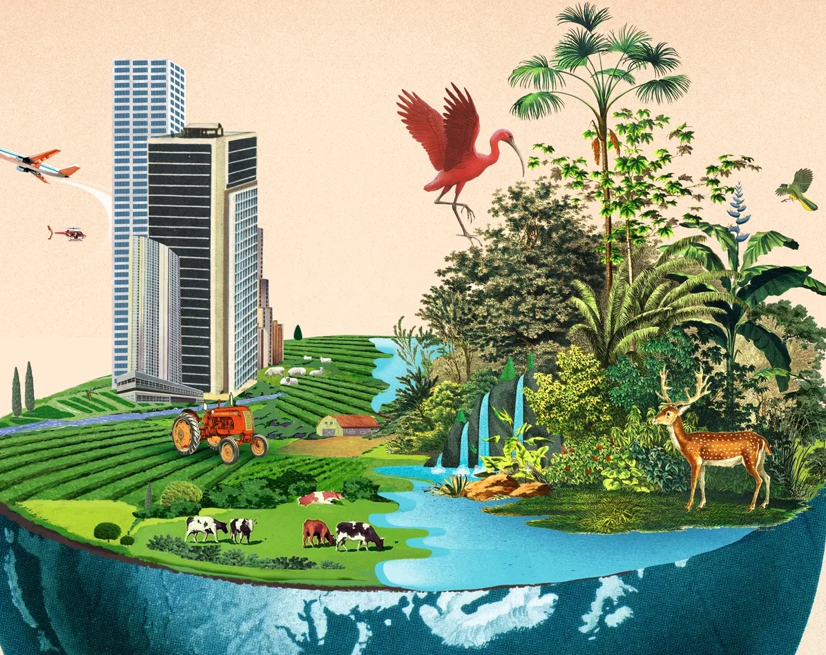 New Global Agreement adopted at the UN Biodiversity Conference (CBD COP15)