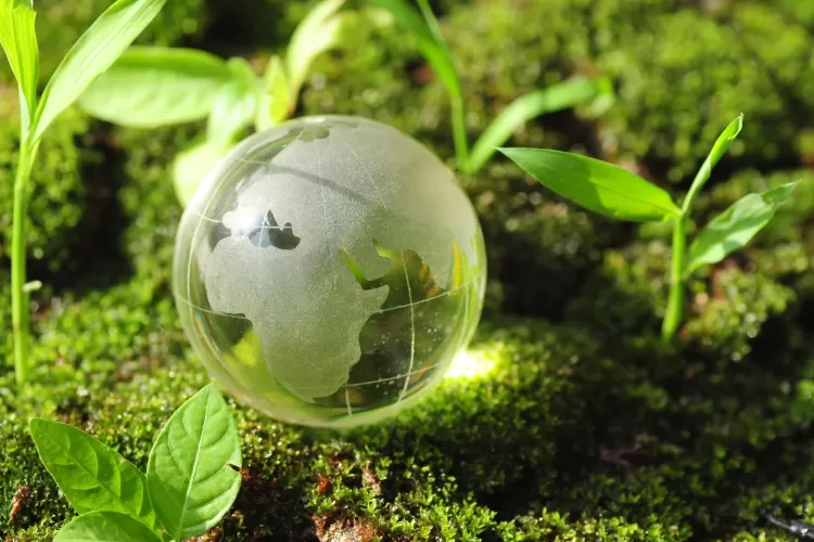 Commemorating World Environment Day 2023 – Beating Plastic Pollution!