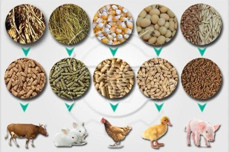 Analysis of Uganda’s New Animal Feeds Act, 2023
