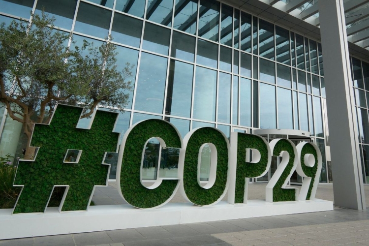 COP 29: UN Climate Conference agrees on Standards to launch the International Carbon Market