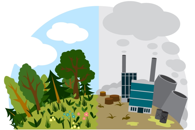 Uganda’s Manufacturers Commit to Conserving the Environment