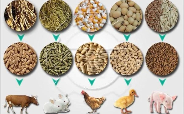 Analysis of Uganda’s New Animal Feeds Act, 2023